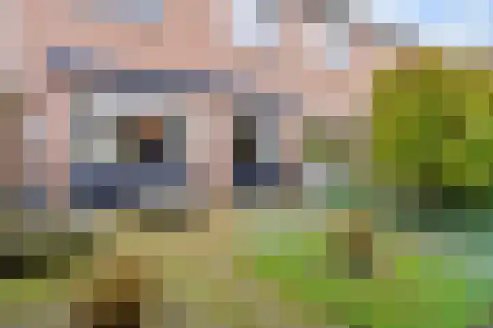 't Buske 22 Udenhout thumbnail 38