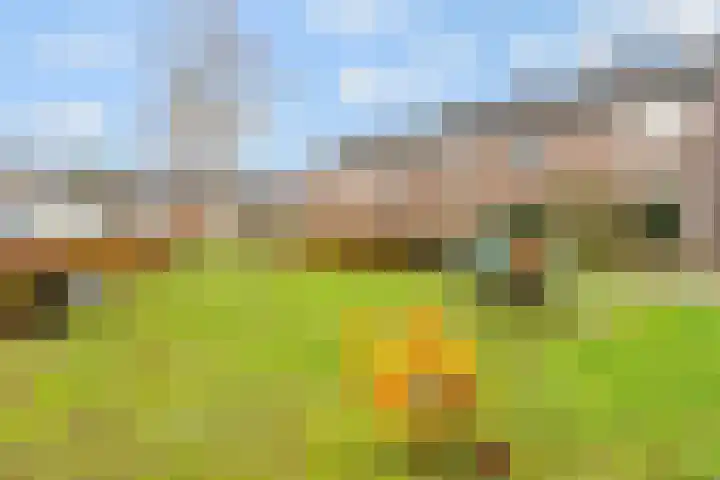 't Buske 22 Udenhout thumbnail 39