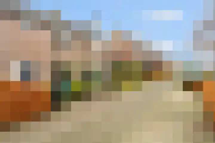 't Buske 22 Udenhout thumbnail 40