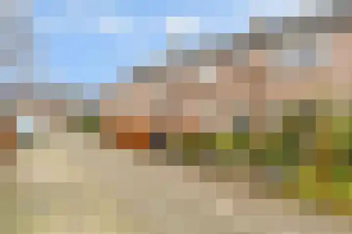 't Buske 22 Udenhout thumbnail 41