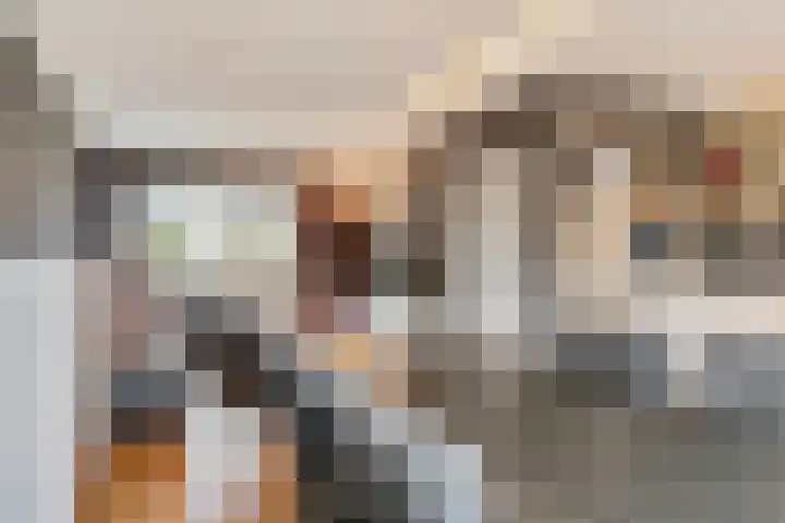 't Buske 22 Udenhout thumbnail 5