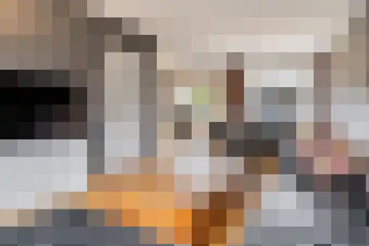 't Buske 22 Udenhout thumbnail 7