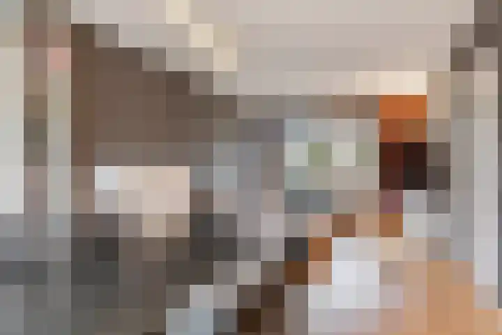 't Buske 22 Udenhout thumbnail 9