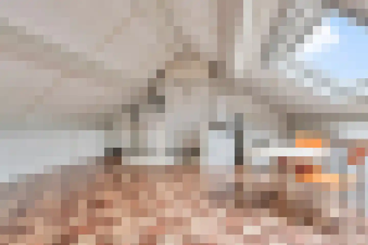 't Buske 28 Udenhout thumbnail 29