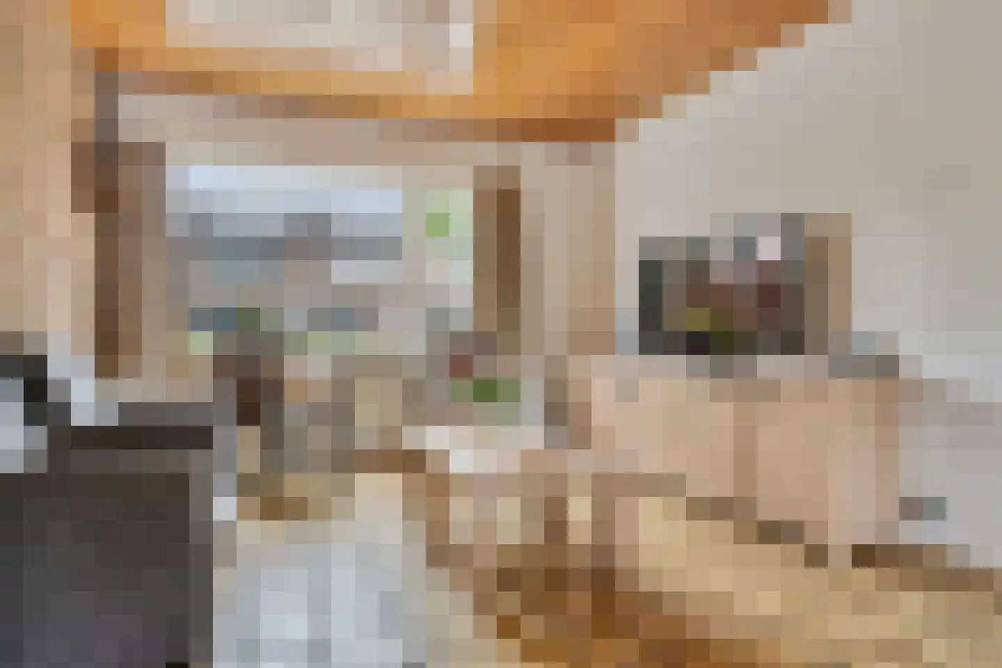 't Buske 28 Udenhout thumbnail 4