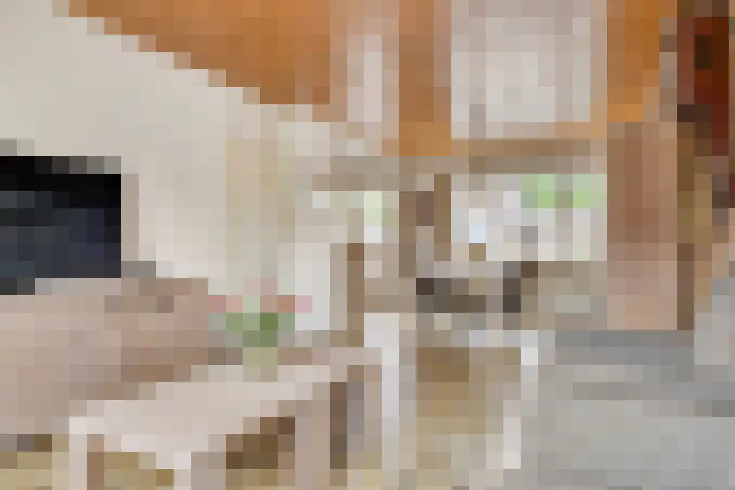 't Buske 28 Udenhout thumbnail 5