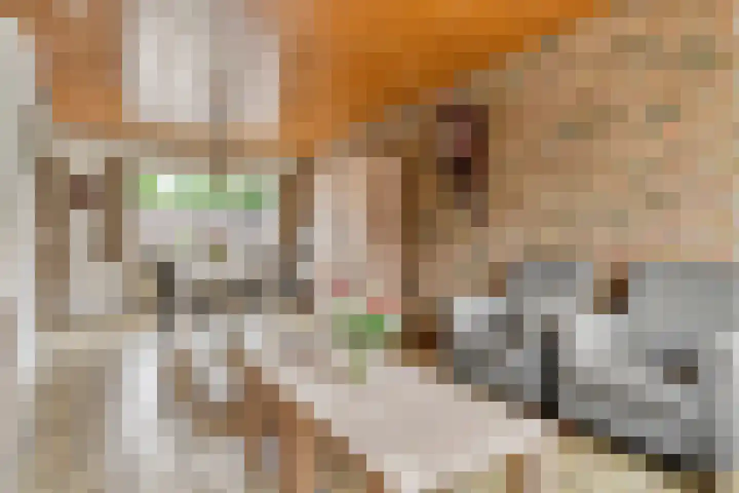 't Buske 28 Udenhout thumbnail 6