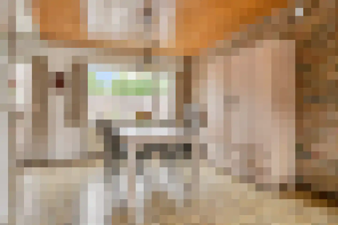 't Buske 28 Udenhout thumbnail 8