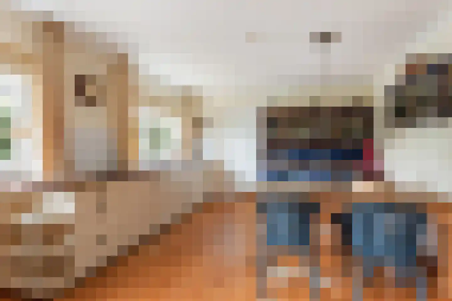 't Capittelgoed 10 Nijverdal thumbnail 11