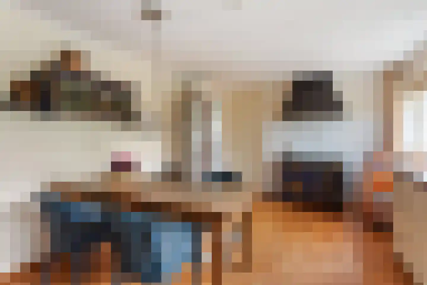 't Capittelgoed 10 Nijverdal thumbnail 12