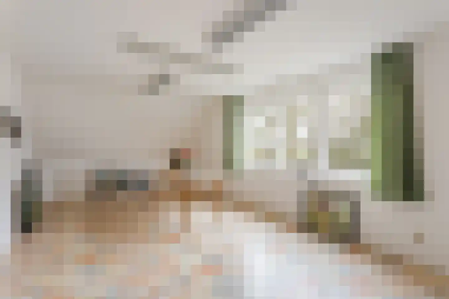 't Capittelgoed 10 Nijverdal thumbnail 22
