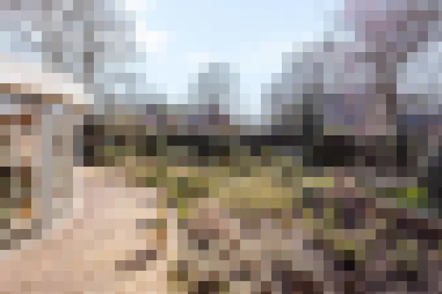 't Capittelgoed 10 Nijverdal thumbnail 24