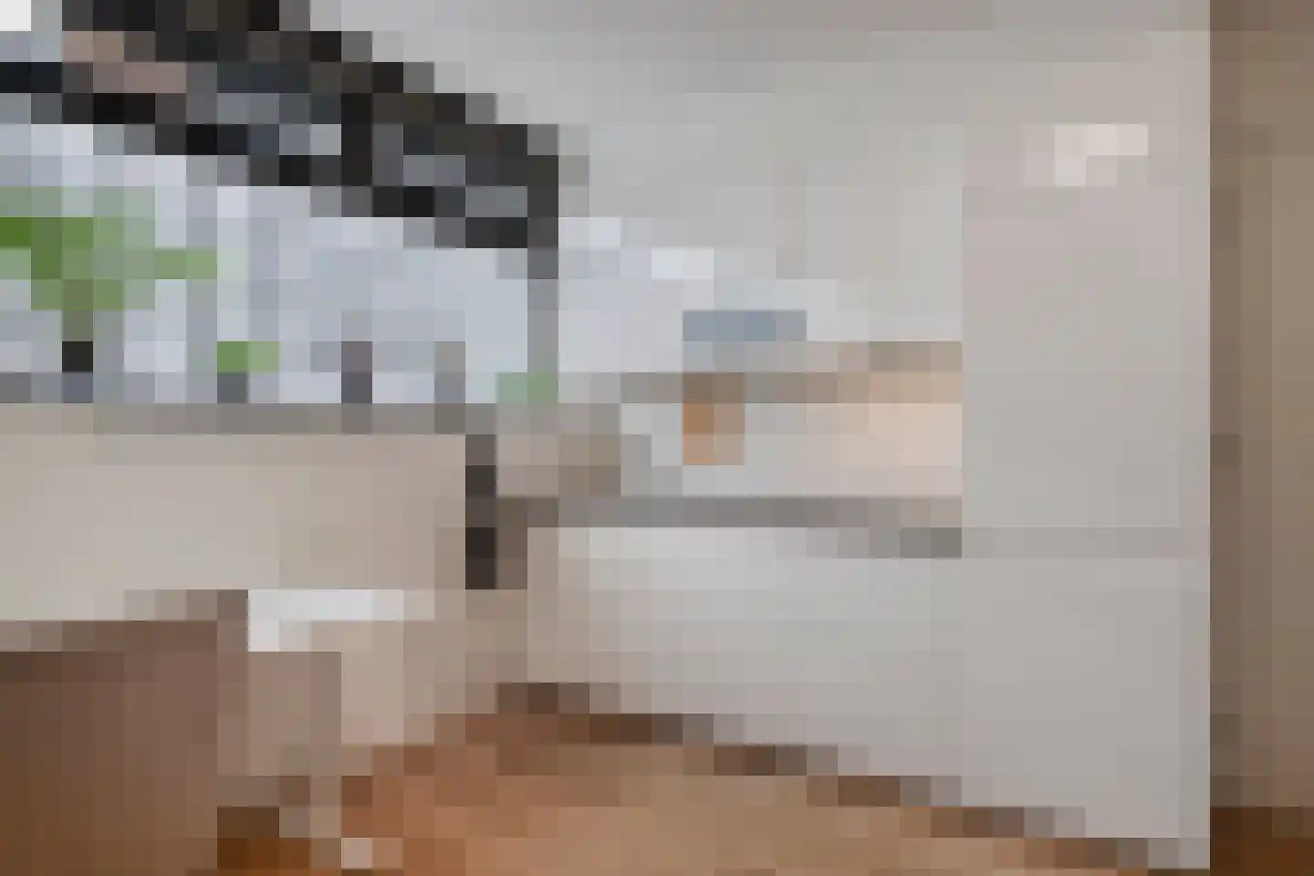 't College 20 Eindhoven thumbnail 10