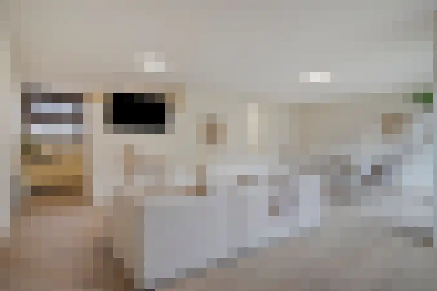 't College 20 Eindhoven thumbnail 31