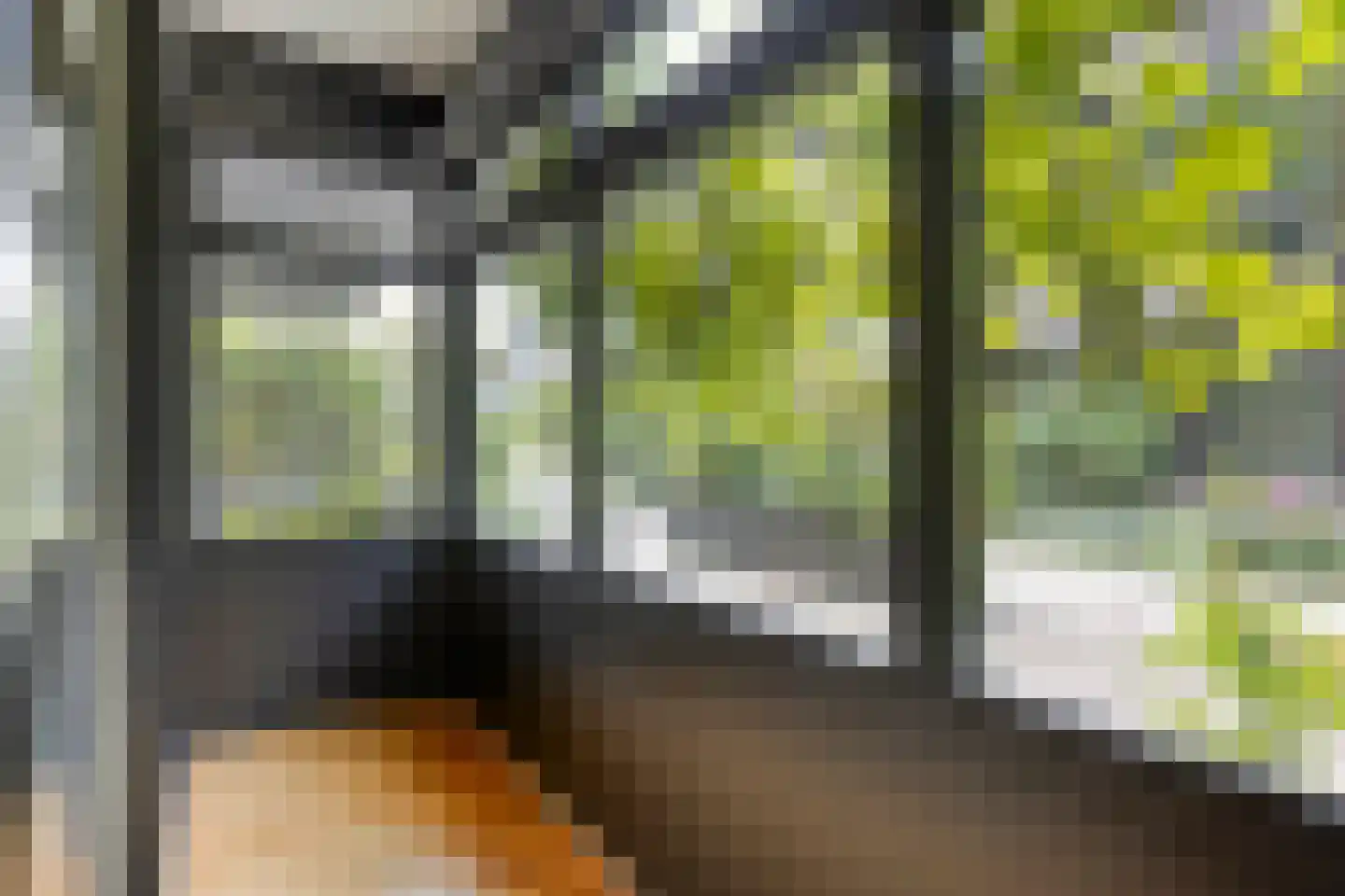 't College 25 Eindhoven thumbnail 10