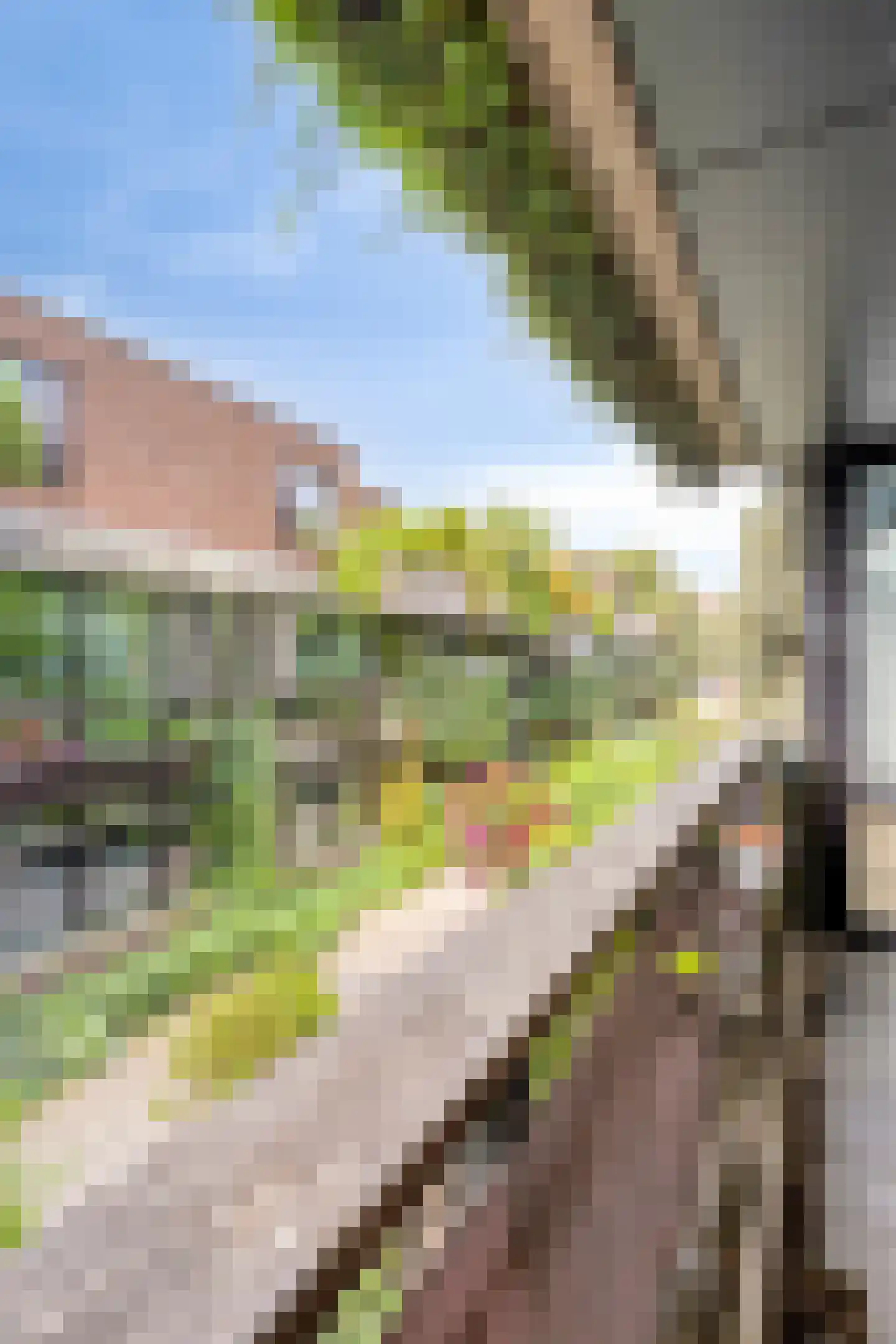 't College 25 Eindhoven thumbnail 32