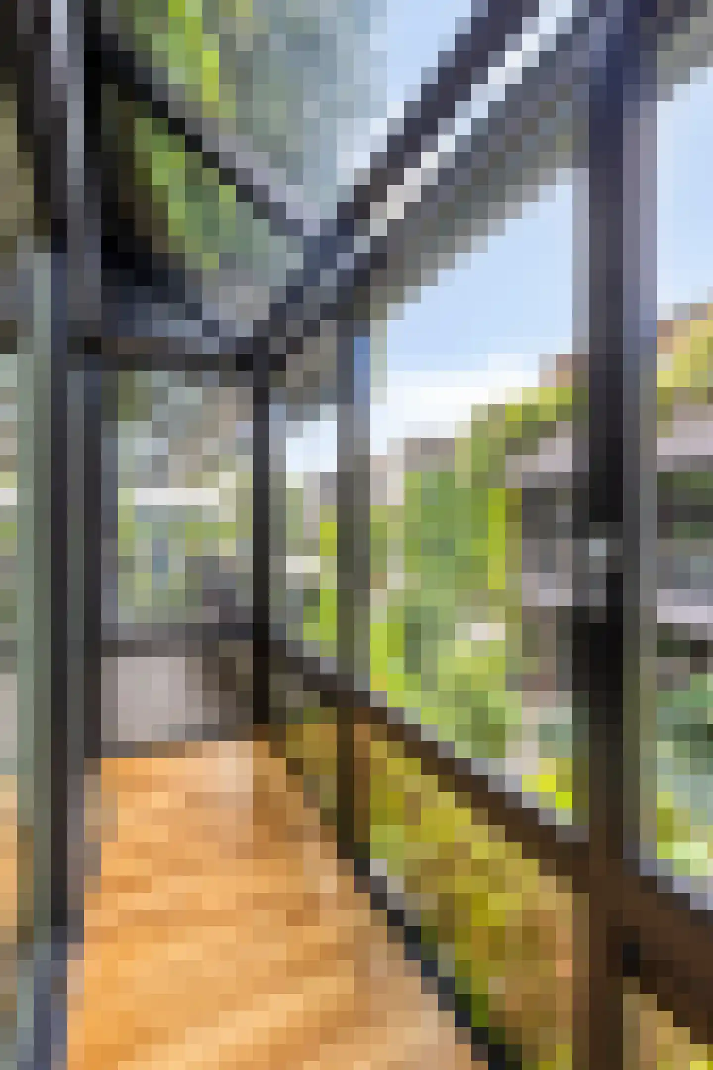 't College 25 Eindhoven thumbnail 33