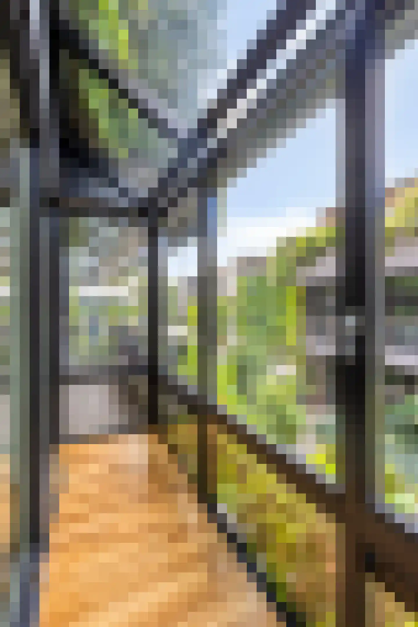 't College 25 Eindhoven thumbnail 36
