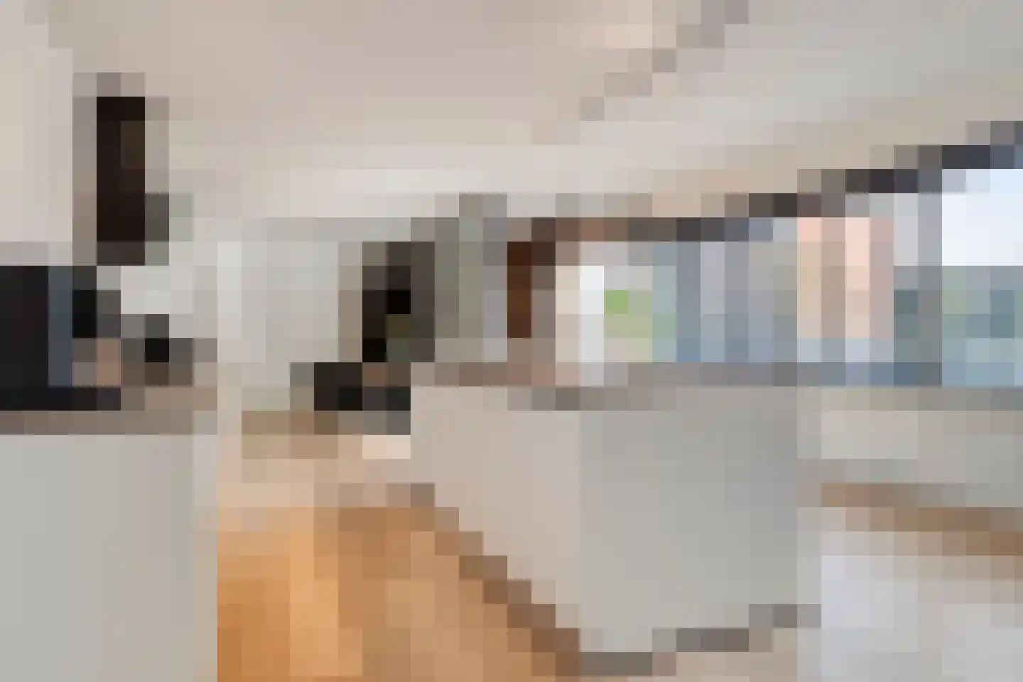't Cour 2 Helmond thumbnail 12