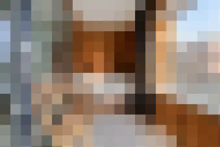 't Cour 2 Helmond thumbnail 13