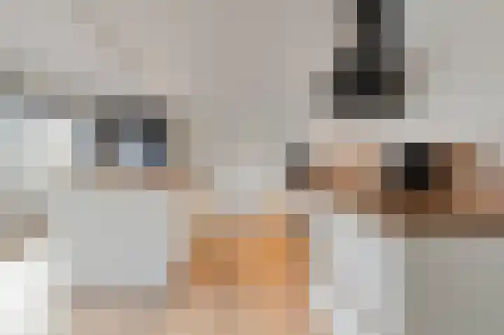 't Cour 2 Helmond thumbnail 8