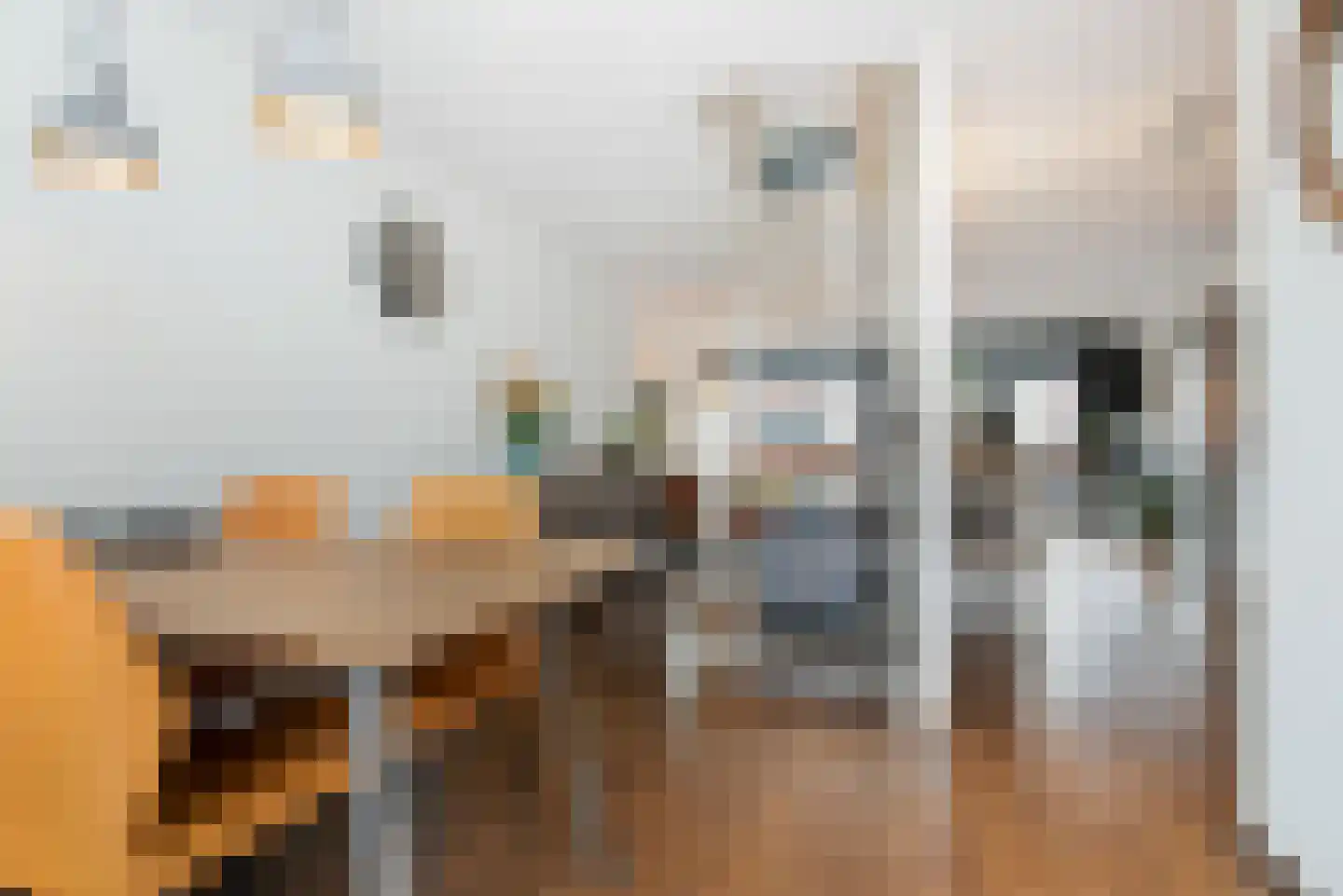 't Cour 8 Helmond thumbnail 22