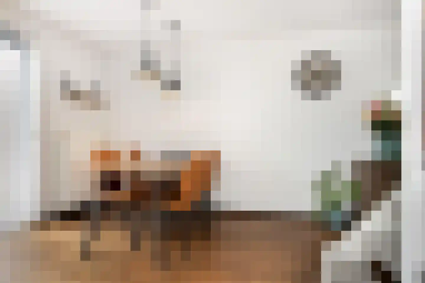 't Cour 8 Helmond thumbnail 6