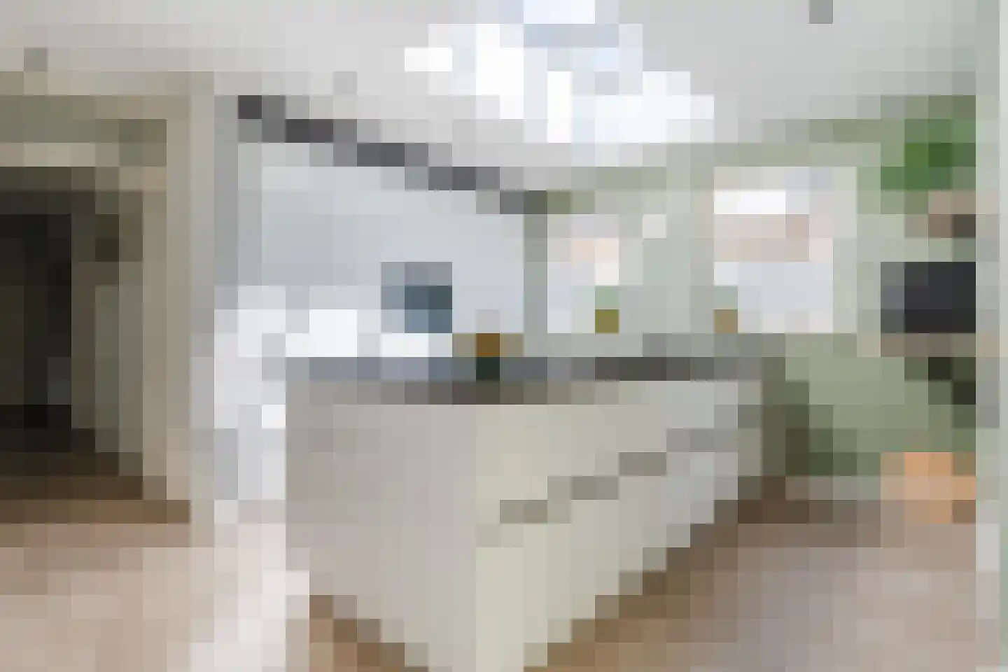 't Diepe 8 Uden thumbnail 17