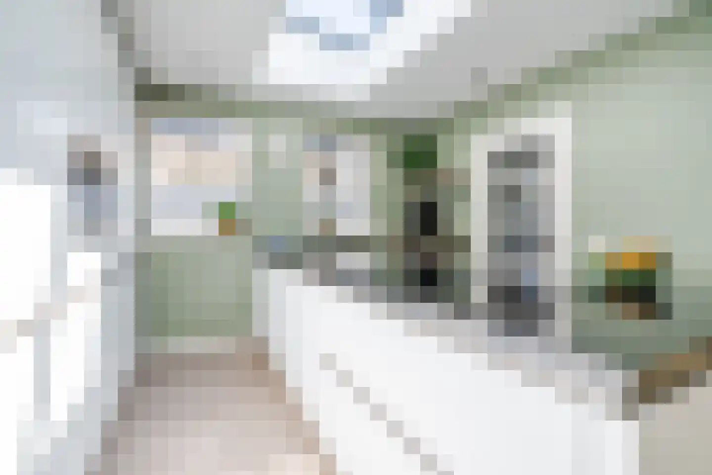 't Diepe 8 Uden thumbnail 19