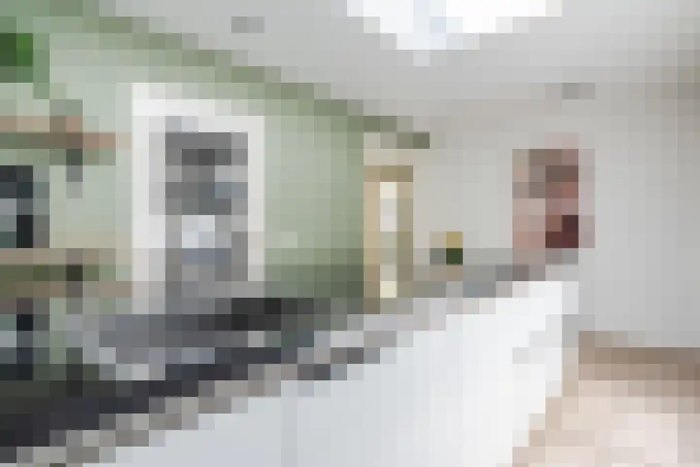 't Diepe 8 Uden thumbnail 20