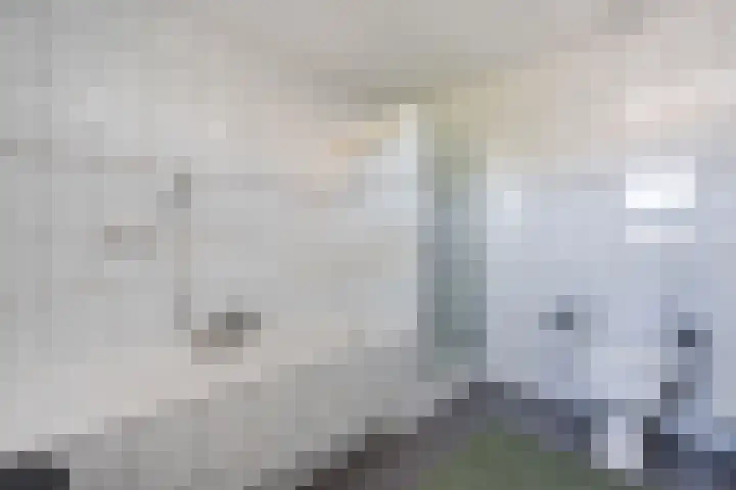 't Diepe 8 Uden thumbnail 42