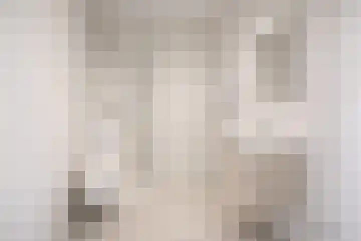 't Dorp 11 a Heesch thumbnail 18