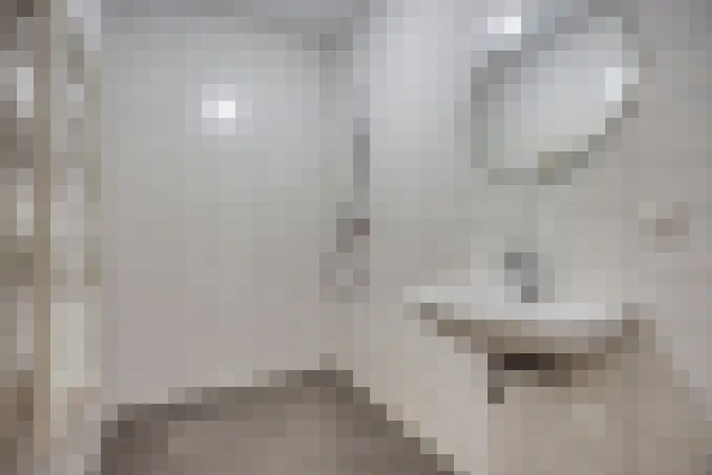 't Dorp 11 a Heesch thumbnail 18
