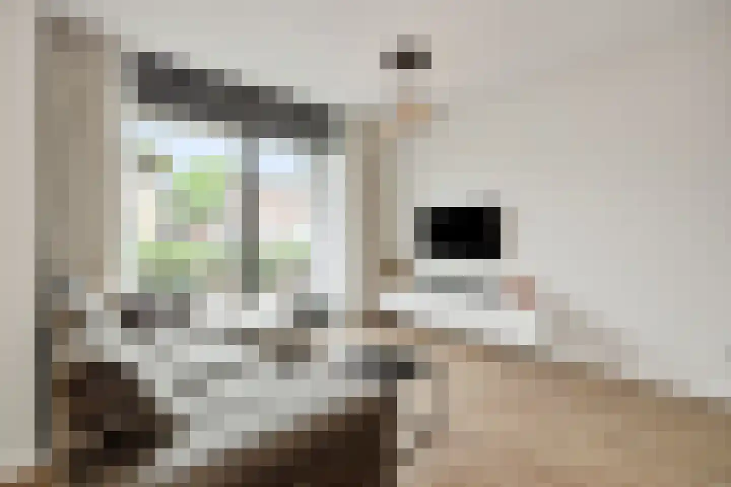 't Dorp 11 b Heesch thumbnail 10