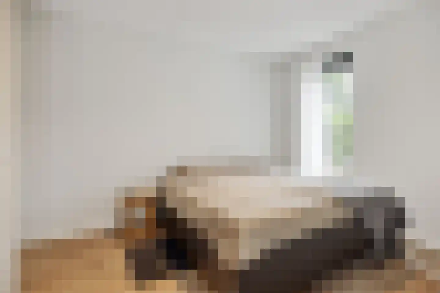 't Dorp 11 b Heesch thumbnail 12