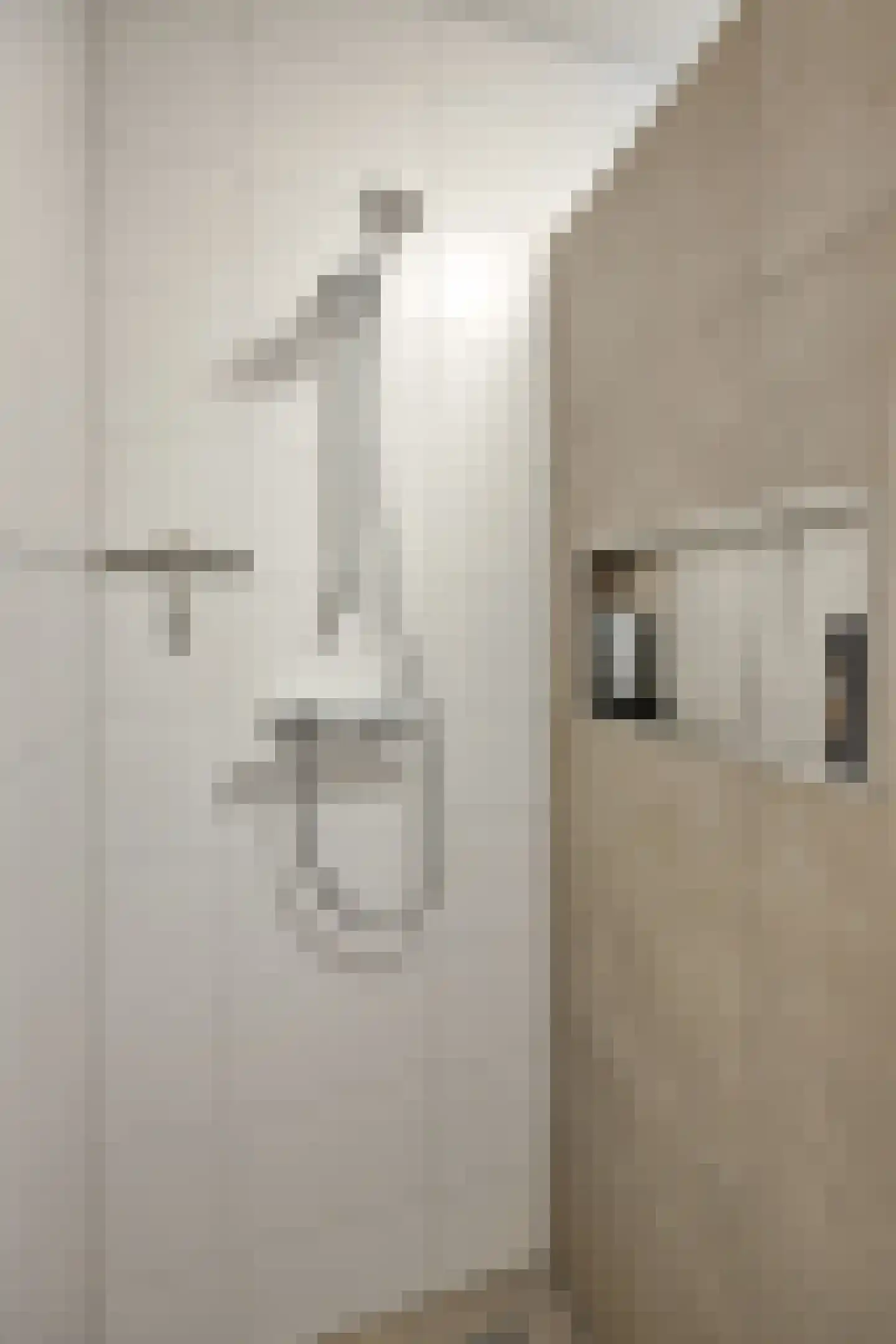 't Dorp 11 b Heesch thumbnail 15