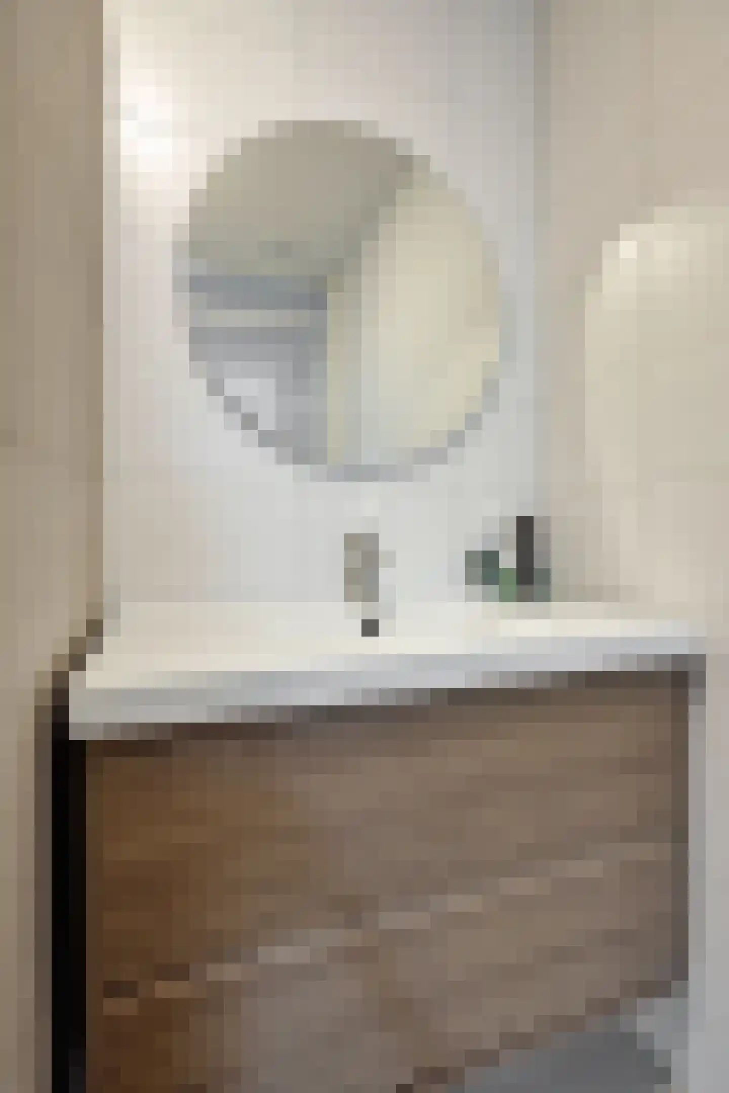 't Dorp 11 b Heesch thumbnail 16