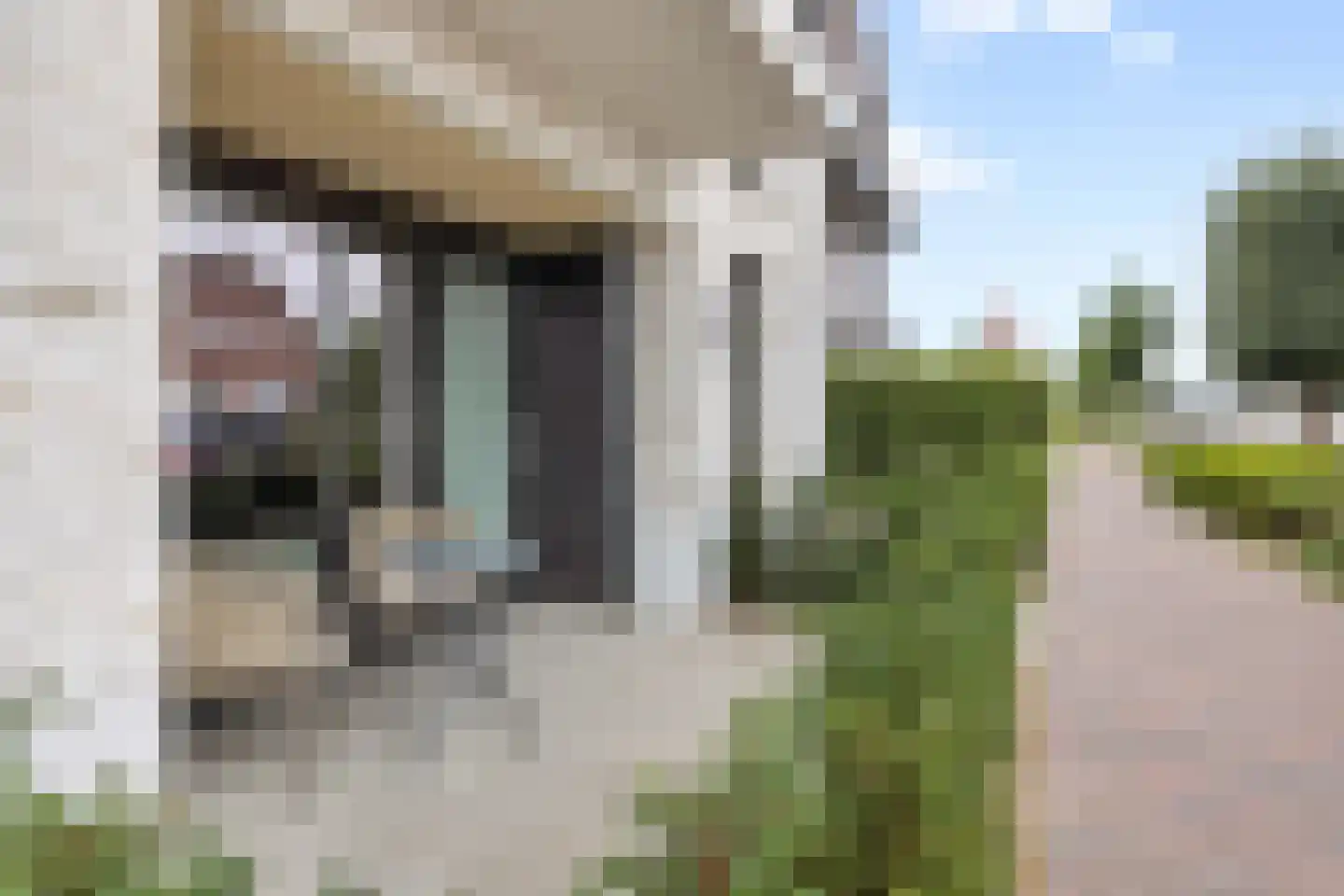 't Dorp 11 b Heesch thumbnail 23