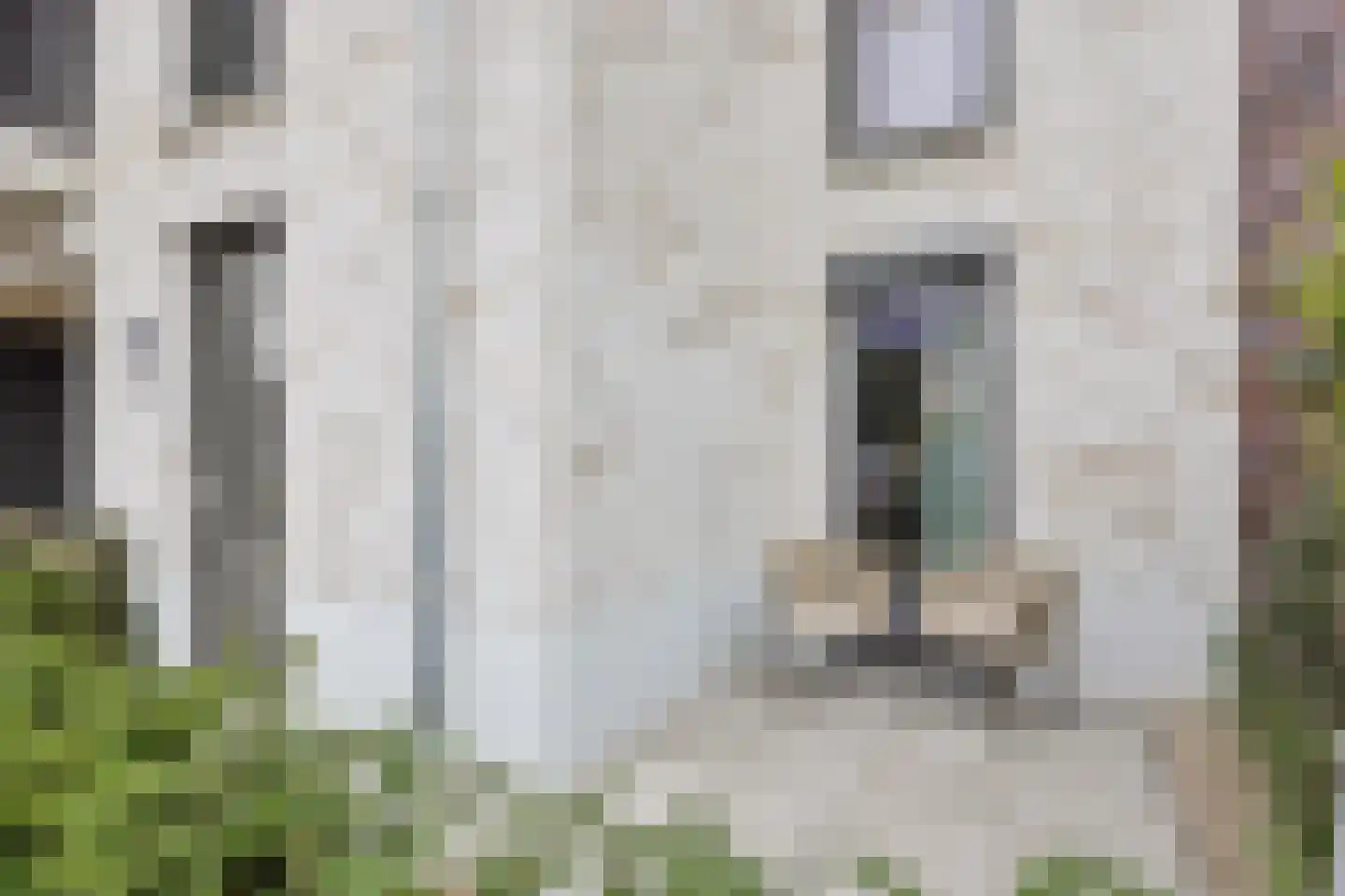 't Dorp 11 b Heesch thumbnail 24