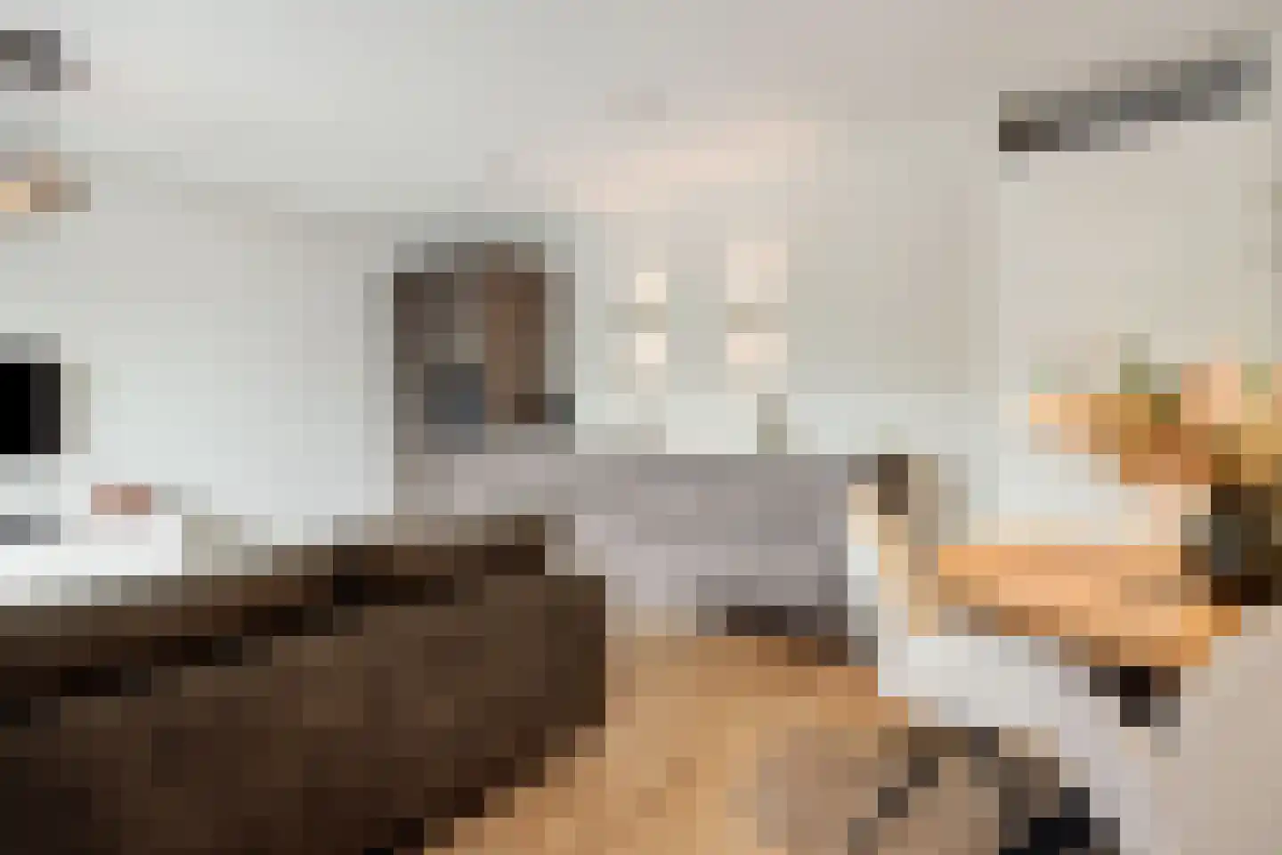 't Dorp 11 b Heesch thumbnail 4
