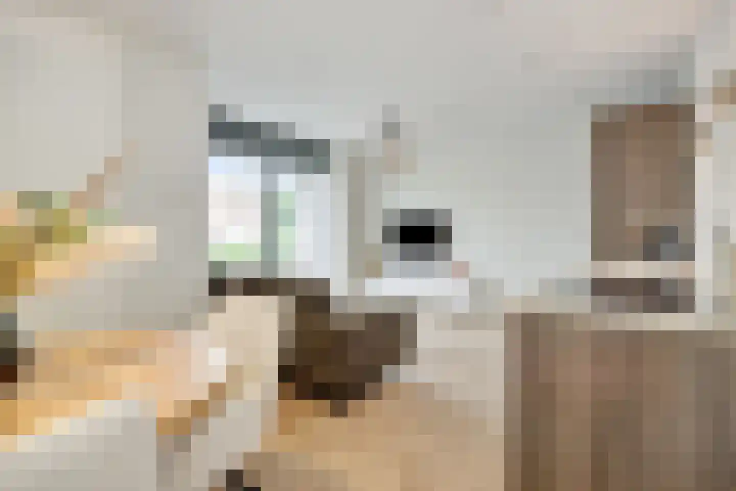't Dorp 11 b Heesch thumbnail 8