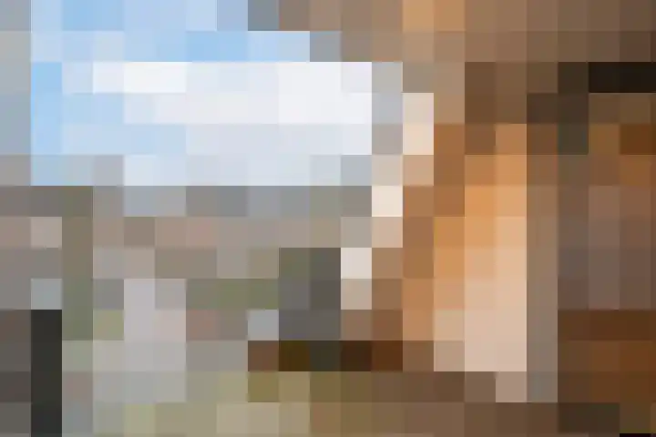 't Dorp 116 m Heesch thumbnail 13