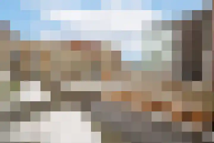 't Dorp 116 m Heesch thumbnail 21