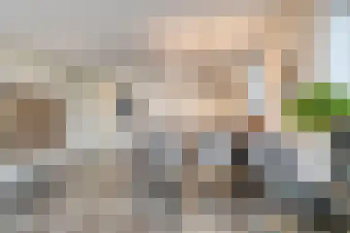 't Dorp 13 c Heesch thumbnail 14