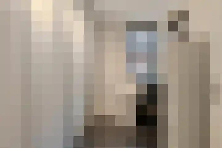 't Dorp 13 c Heesch thumbnail 24