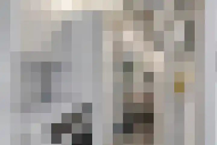 't Dorp 13 c Heesch thumbnail 25