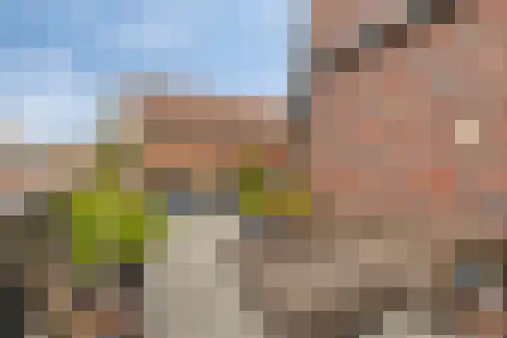 't Dorp 13 c Heesch thumbnail 29