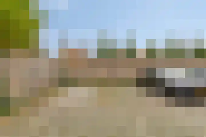 't Dorp 13 c Heesch thumbnail 30