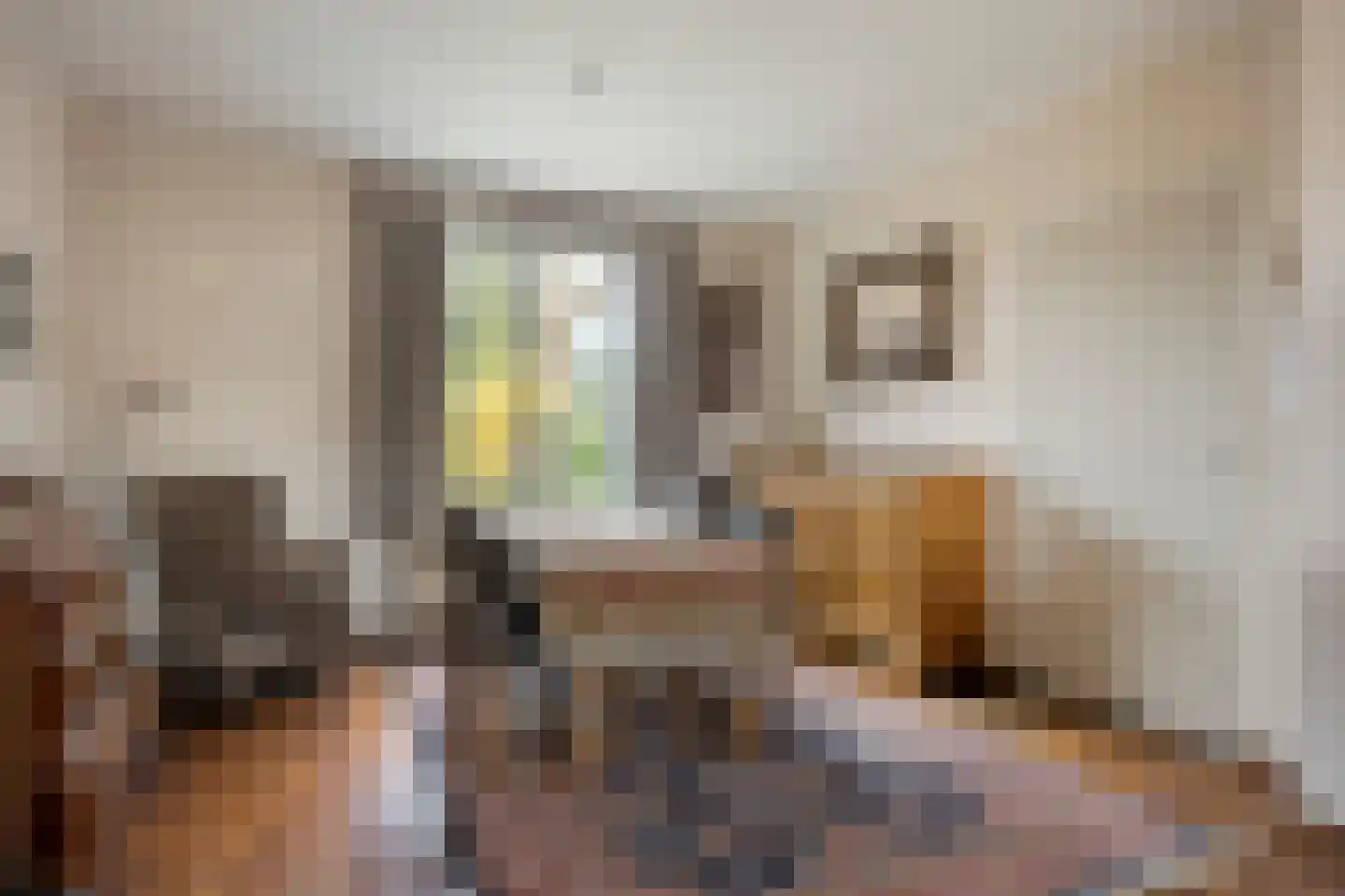 't Dorp 38 Heesch thumbnail 12