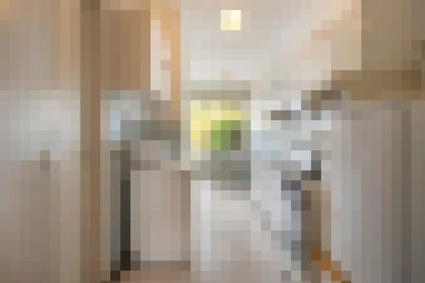 't Dorp 38 Heesch thumbnail 14